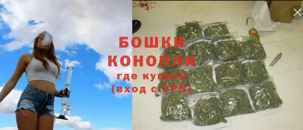 МДПВ Пересвет