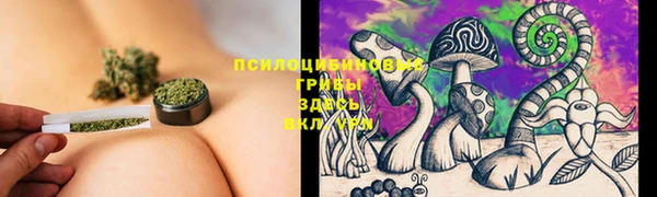 меф Пестово
