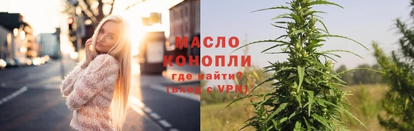 МДПВ Пересвет
