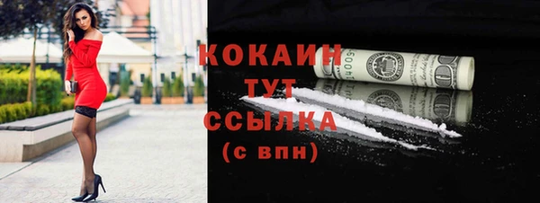 МДПВ Пересвет