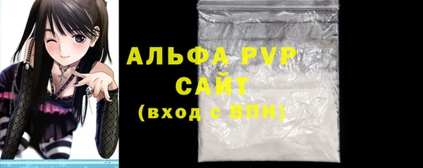 МДПВ Пересвет