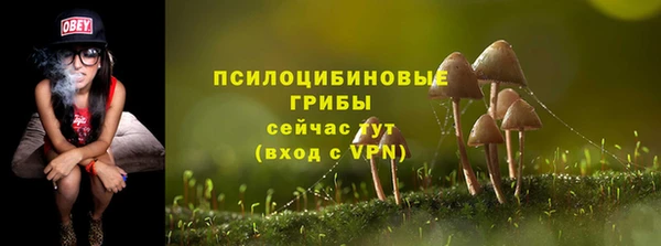 МДПВ Пересвет