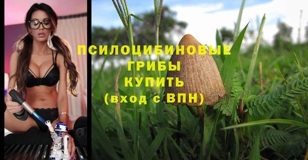 МДПВ Пересвет