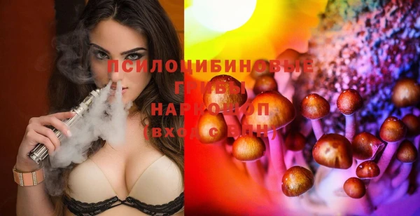 МДПВ Пересвет