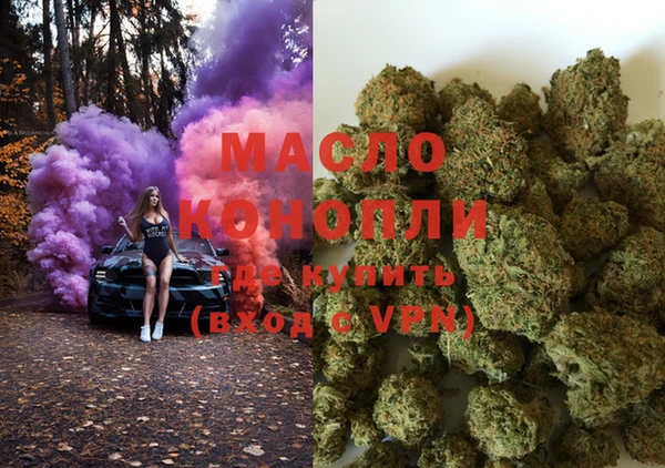 МДПВ Пересвет