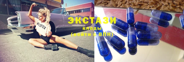 МДПВ Пересвет