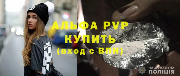 МДПВ Пересвет