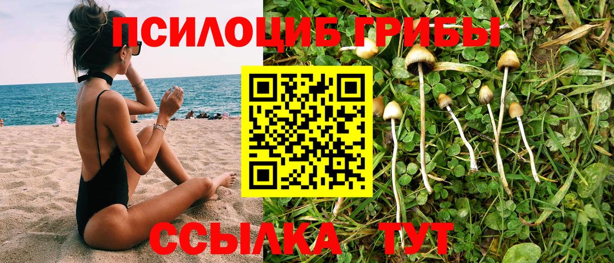 цены наркотик  Вход с VPN  Тутаев  Галлюциногенные грибы мицелий 